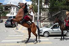 Dört nala koşan atlar görenleri şaşırttı