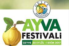 Geyve'de ayva festivali