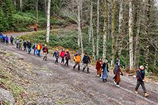 Doğa yürüyüşleri Büyük Yaylada başladı