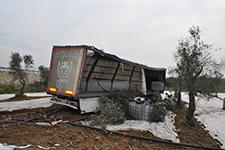 İlaç yüklü TIR, zeytin bahçesine girdi