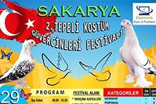 Güvercin sevdalıları bu festivalde buluşacak