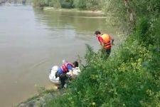 Botunu yakalamak için girdiği Sakarya Nehri'nde kayboldu