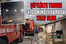  Çiftlikte yangın: 1700 hindi yavrusu telef oldu