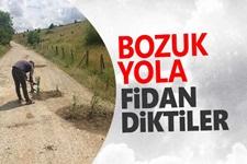 Bozuk yola fidan diktiler!