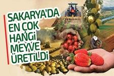 Sakarya'da en çok hangi meyve üretildi?