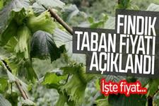 Fındık taban fiyatını açıklandı
