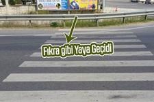 Fıkra gibi yaya geçidi