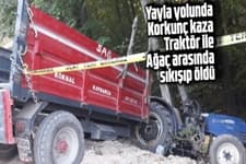 Traktör ile ağaç arasında sıkışıp öldü