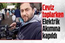 Ceviz toplarken elektrik akımına kapıldı