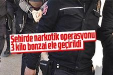 Uyuşturucu operasyonu: 3 kilo bonzai ele geçirildi