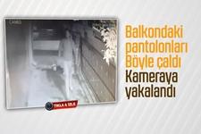 Balkonda asılı pantolonları böyle çaldı