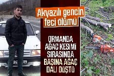 Başına ağaç dalı düşen genç öldü