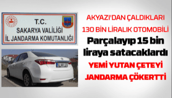 Akyazı'da hırsızlık çetesini jandarma çökertti