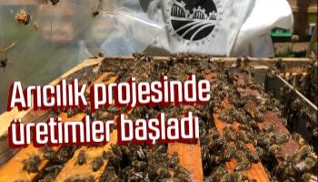 Arıcılık projesinde üretimler başladı