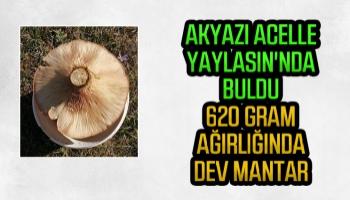 Akyazı'da yaylada dev mantar buldu