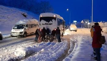 Fotoğraflar Korucuk'tan