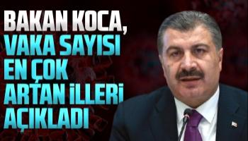 Bakan Koca; Vaka sayısı en çok artan illeri açıkladı