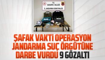 Jandarma suç örgütüne darbe vurdu 9 gözaltı