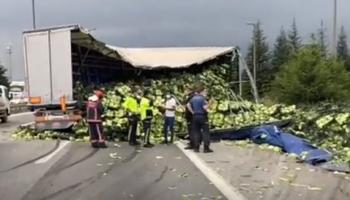 TEM'de kaza; Marul nakliyesi yapan tır devrildi, marullar otoyola saçıldı