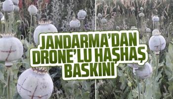 Jandarmadan drone'lu haşhaş baskını