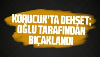 Korucuk'ta dehşet; Oğlu tarafından bıçaklandı