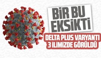 3 ilde Delta plus varyantı görüldü