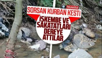 İşkembe ve sakatatları dereye attılar