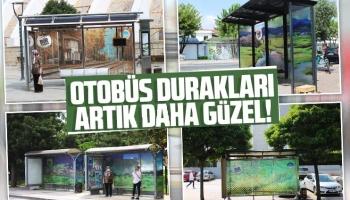 Otobüs duraklarına doğal güzellikler işlendi