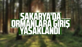 Sakaryada ormanlara giriş yasaklandı