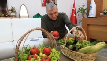 Ata Tohum üretiminde ilk mahsuller toplandı