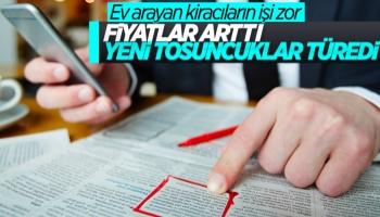 Kiralık ev arayanlar, ilanlardaki ucuz fiyata dikkat