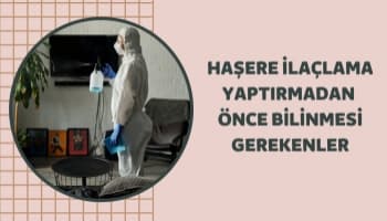 Haşere İlaçlama Yapılmadan Önce Bilinmesi Gerekenler