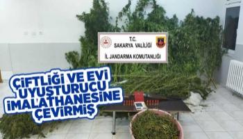 Çiftliği ve evi uyuşturucu imalathanesine çevirmiş