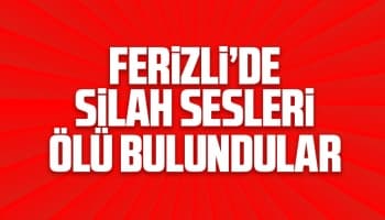 Ferizli'de silah sesleri ölü buldular