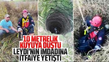 Leydi’nin imdadına itfaiye yetişti