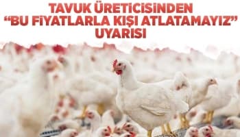 Tavuk üreticisinden Bu fiyatlarla kışı atlatamayız uyarısı