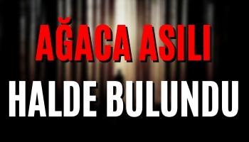 Akyazı'da Ağaca Asılı Halde Bulundu