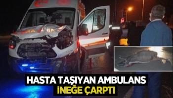 Akyazı'da ambulans ineğe çarptı