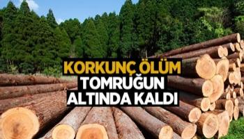 Tomruk altında kalan işçi öldü