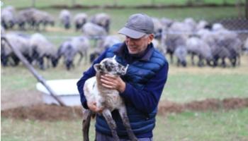 Şehir Hayatından Uzaklaşıp Koyun Yetiştiricisi Oldu