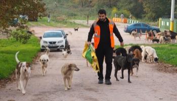 Birlik Vakfı'ndan Kulübe ve Mama Desteği