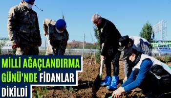 Milli Ağaçlandırma Günü'nde Fidanlar Dikildi