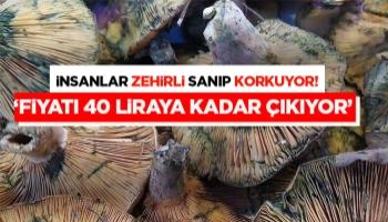 İnsanlar zehirli sanıp korkuyor