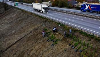 Sapanca Belediyesi'nden Önemli Proje