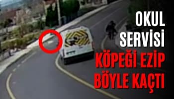 Okul servisi köpeği ezip böyle kaçtı