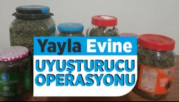 Yayla evinde esrar ve metamfetamin ile yakalandılar