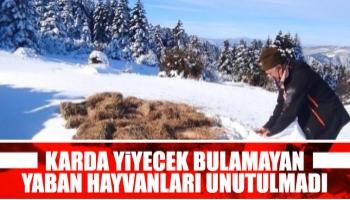 Yaban hayvanları için yiyecek bırakıldı