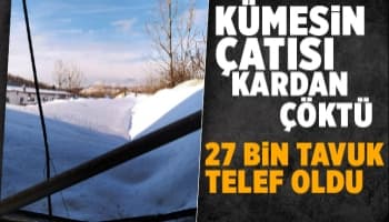 Çatı kardan çöktü, 27 bin tavuk telef oldu