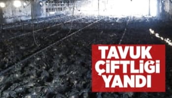 Geyve'de tavuk çiftliği yandı