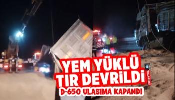 Kamyon devrildi, yemler yola saçıldı